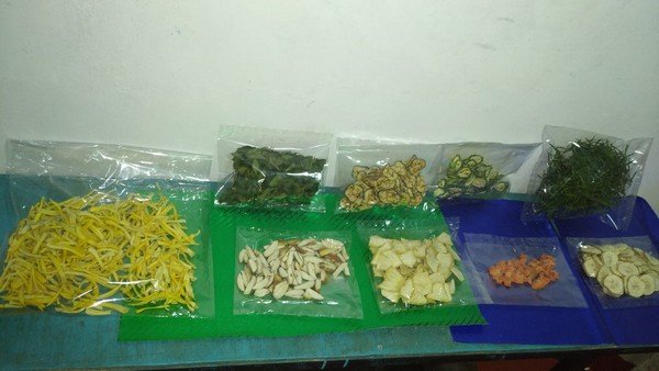 A technical training workshop on food dehydration at Homagama (2022-12-23)